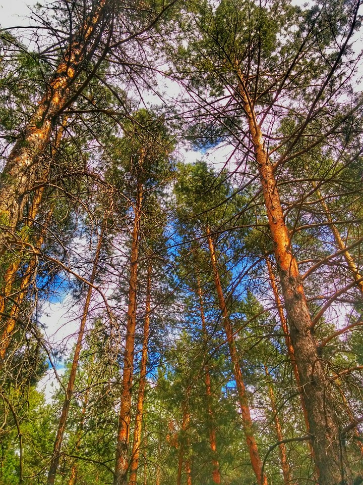 Russia