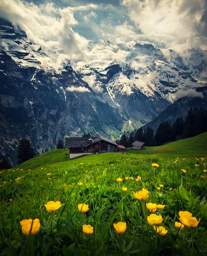 Swiss nature