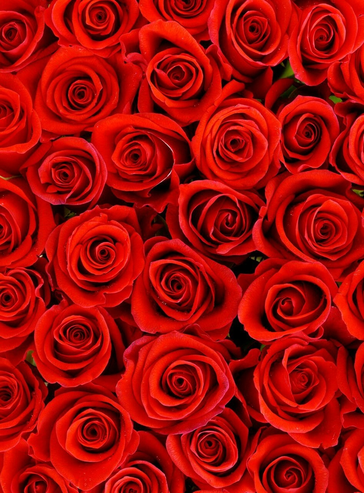 rosen