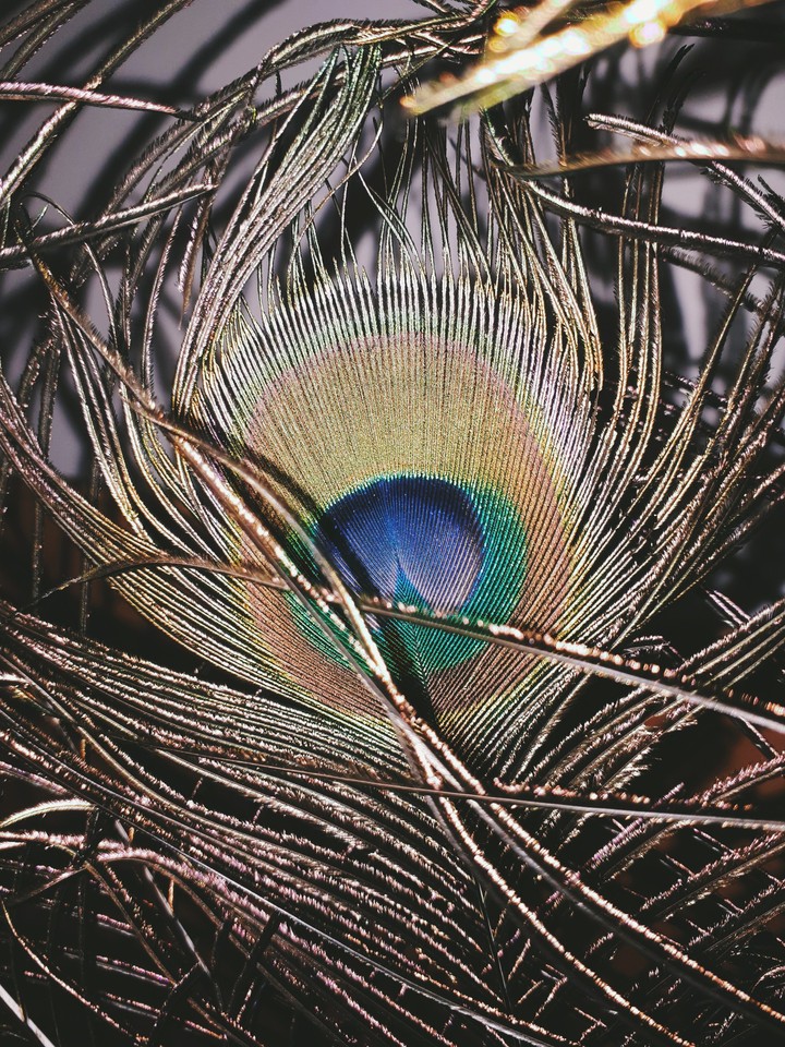 beauty