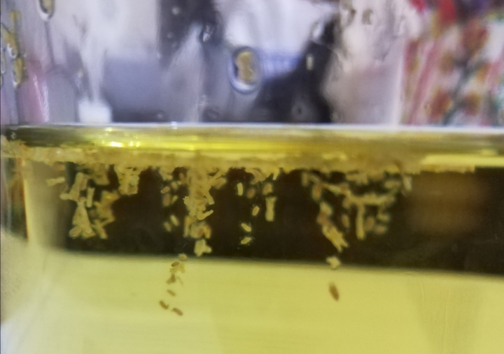 chamomile