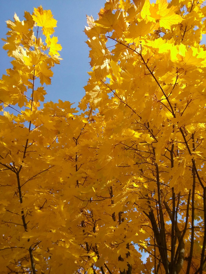 Autumn again