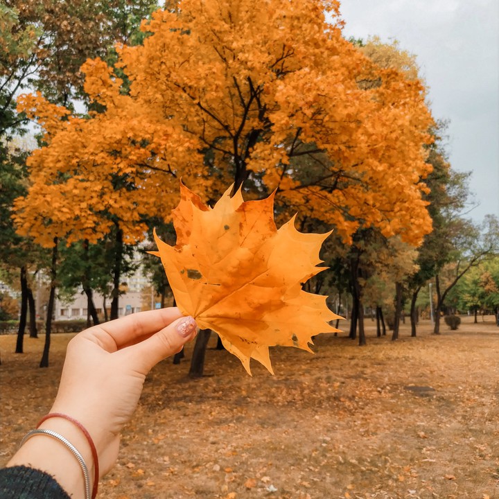 autumn ?