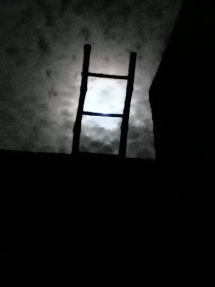 night view of sky and connection of ladder and moon