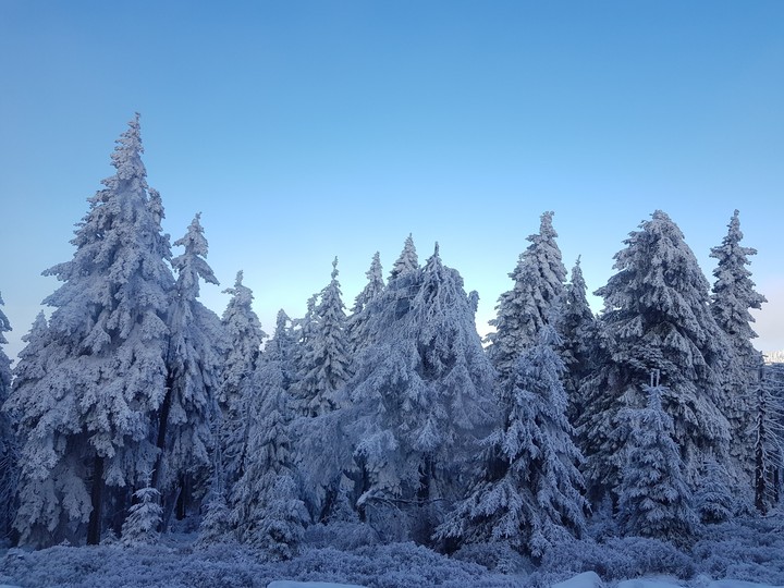 Winterwunderland