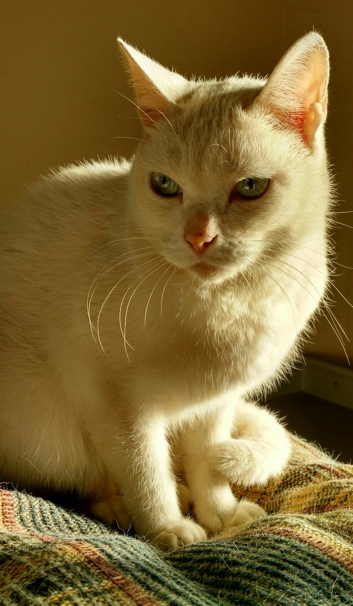 my love !