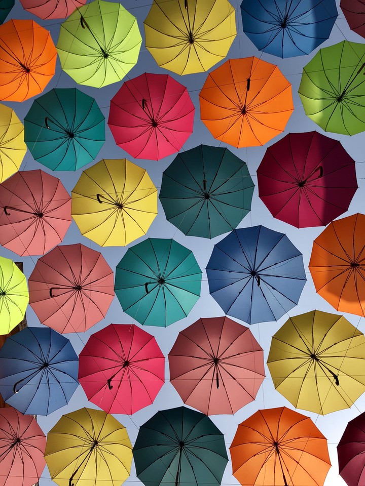 Umbrella road