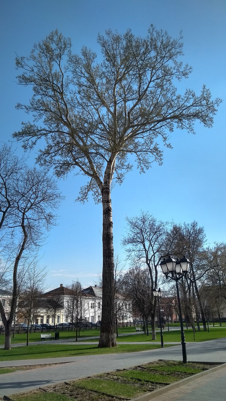 Парк