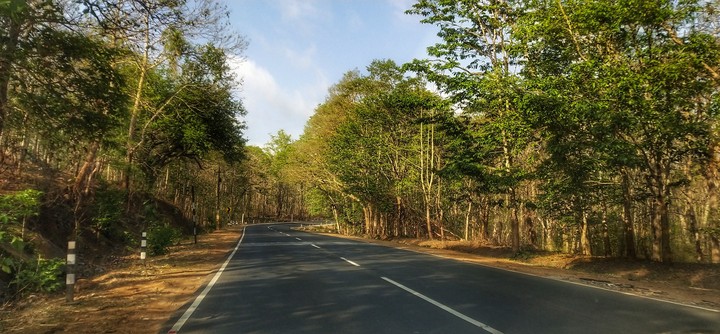 Boulevard