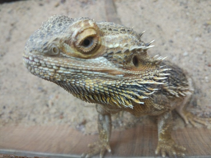Zoo