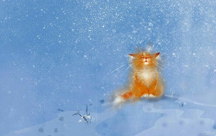 котик под снегом