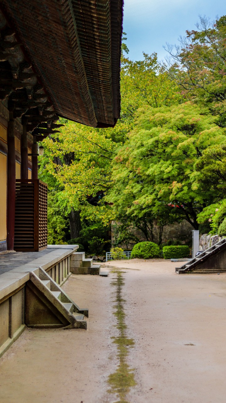 Rainy Bulguksa temple