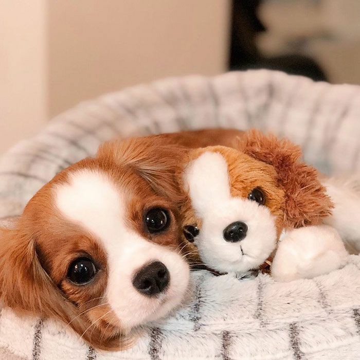 ❤❤❤❤❤