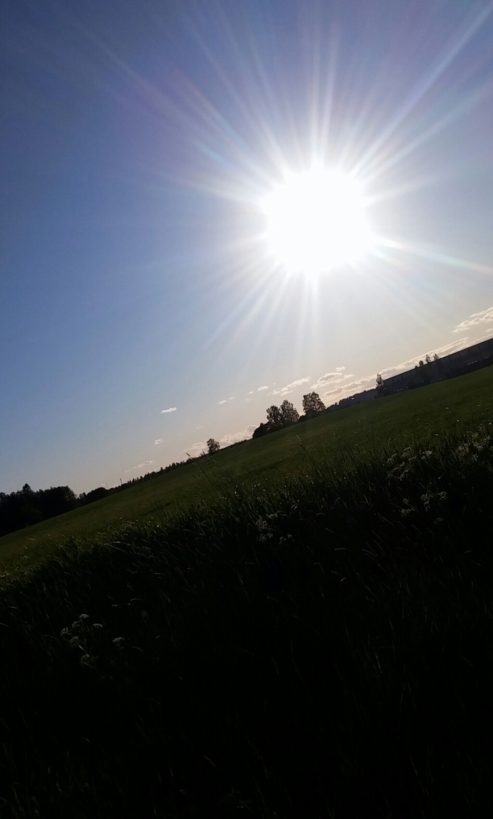 Finnish summer