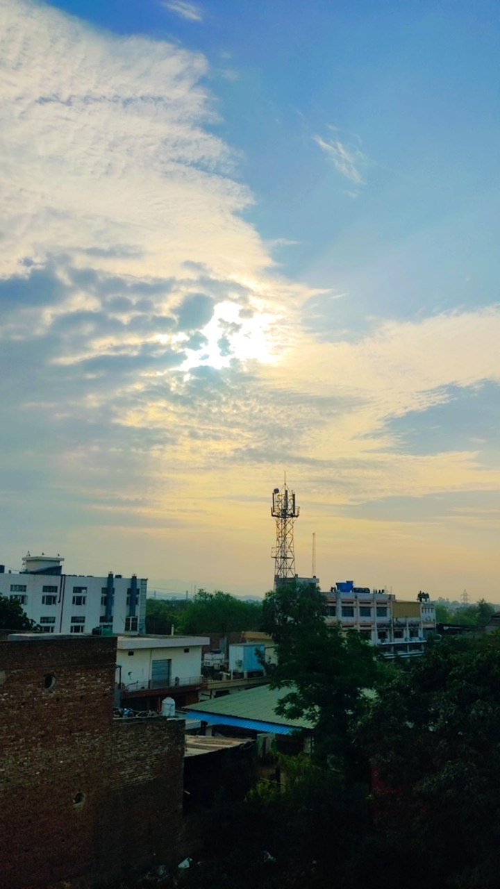 morning