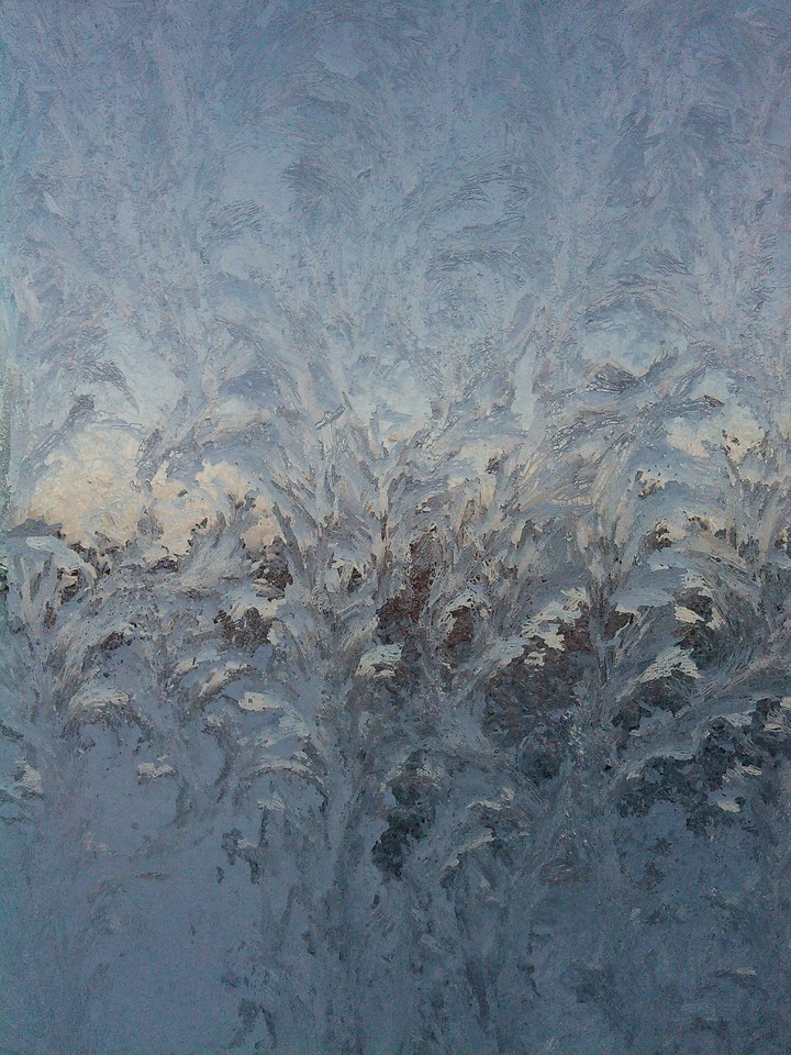 Frozen