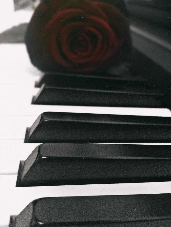 rose