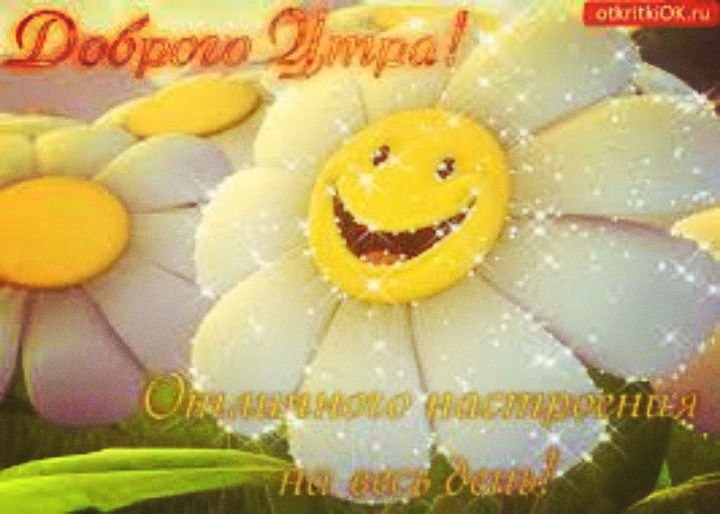 гннп