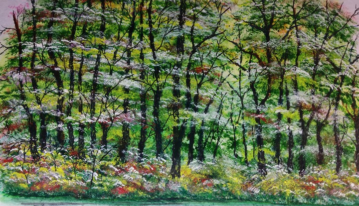 Beautiful Nature Art