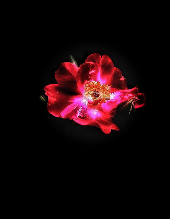 Beautiful Darkness #1