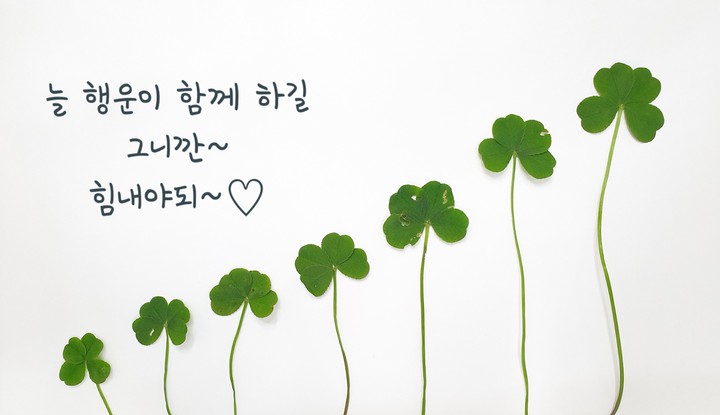 행운