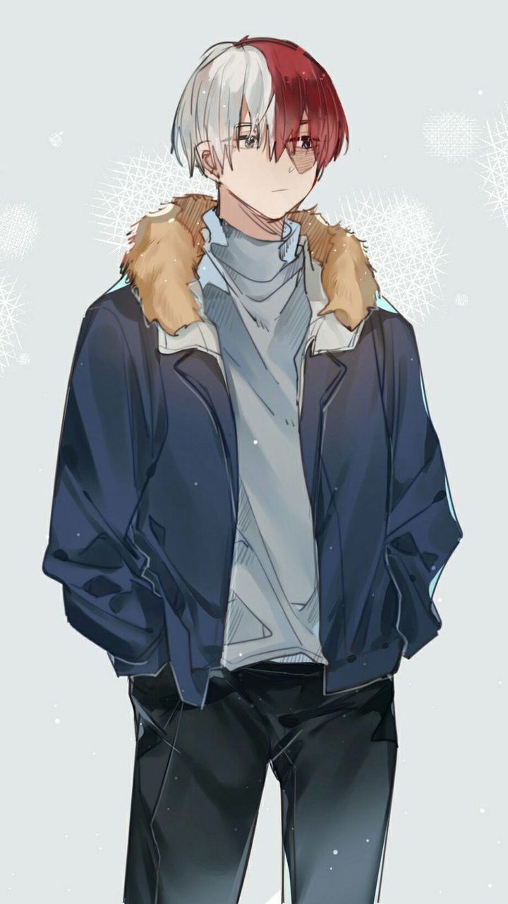 todoroki Shoto