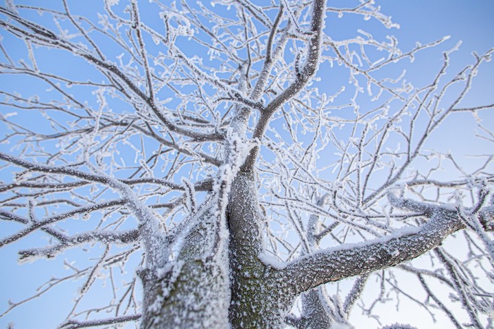 winter