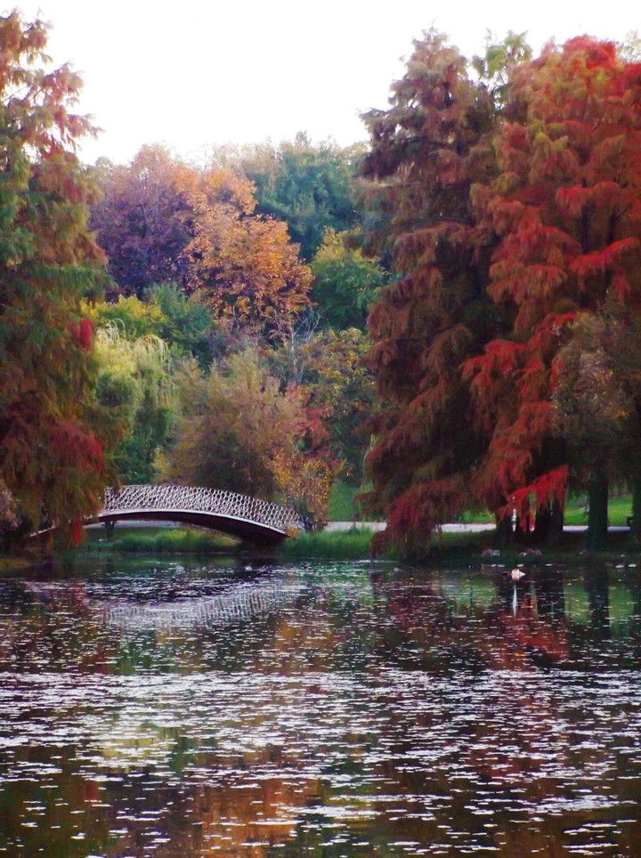 autumn❤