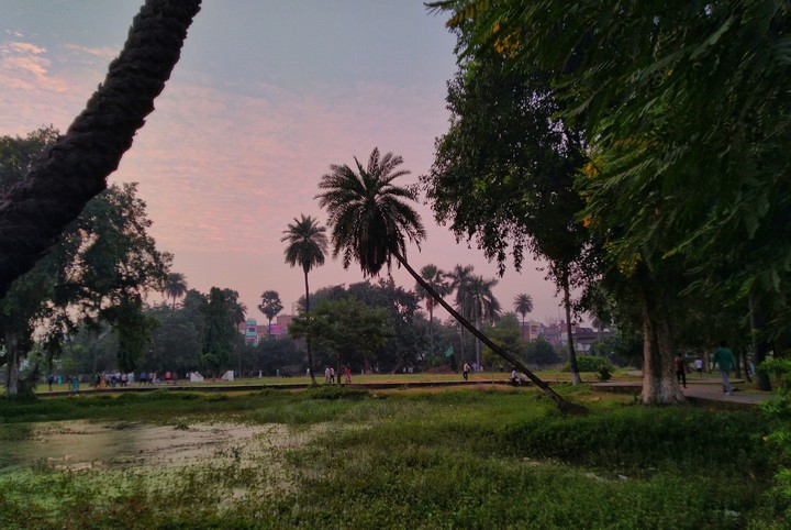 park view