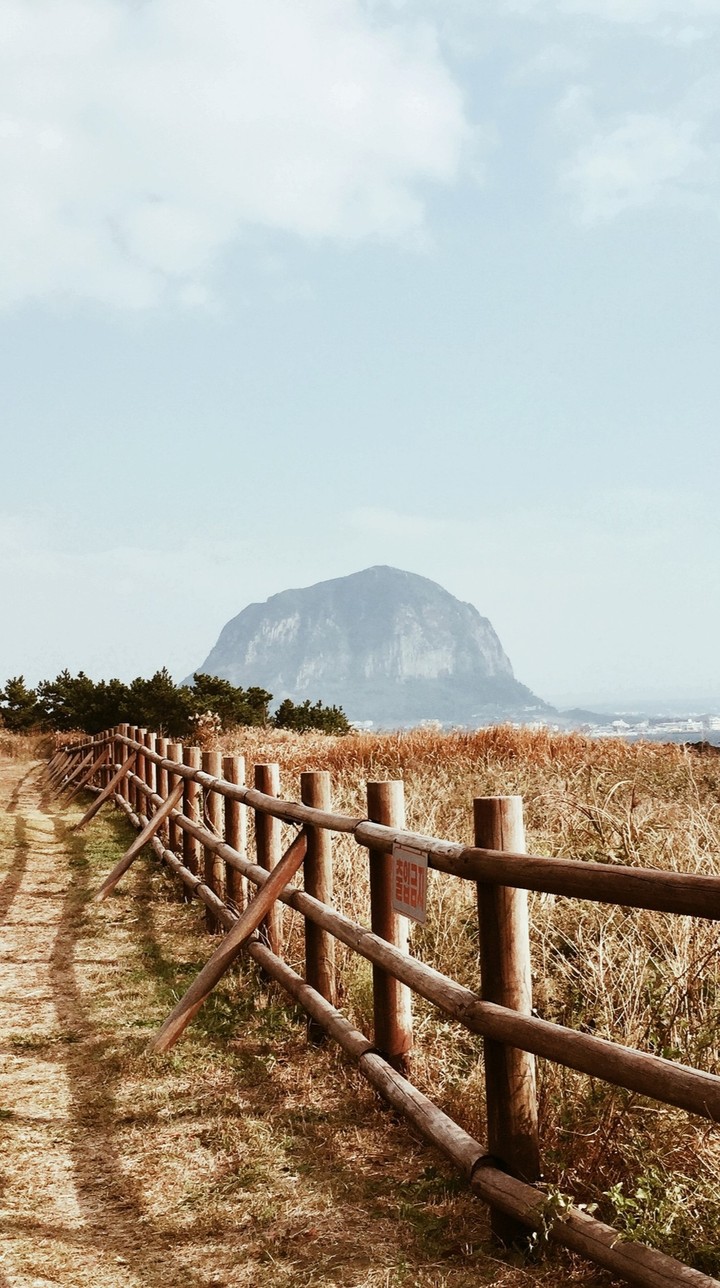 제주도 올레길