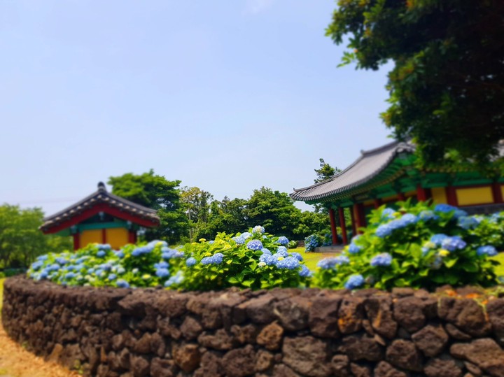 여름날