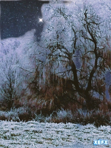 Winternacht ❤️