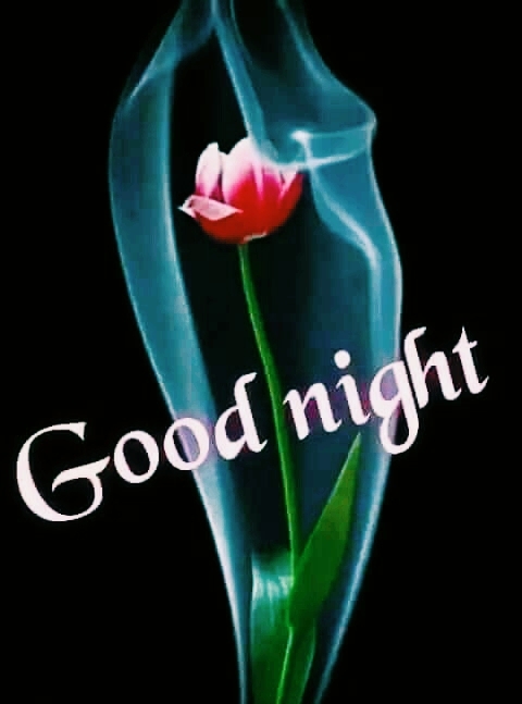 Good Night  Sunday