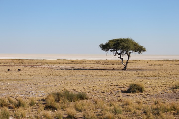 Africa