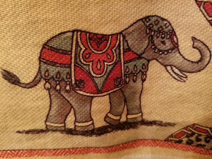 Indian Elephant