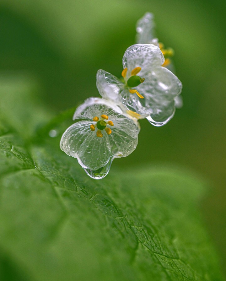 CUTE~•°♤°•°❀°•°❀°•°❀°•°❀°•°♤•°~