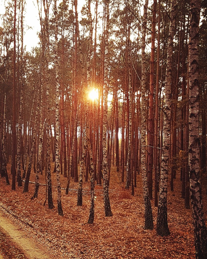Autumn