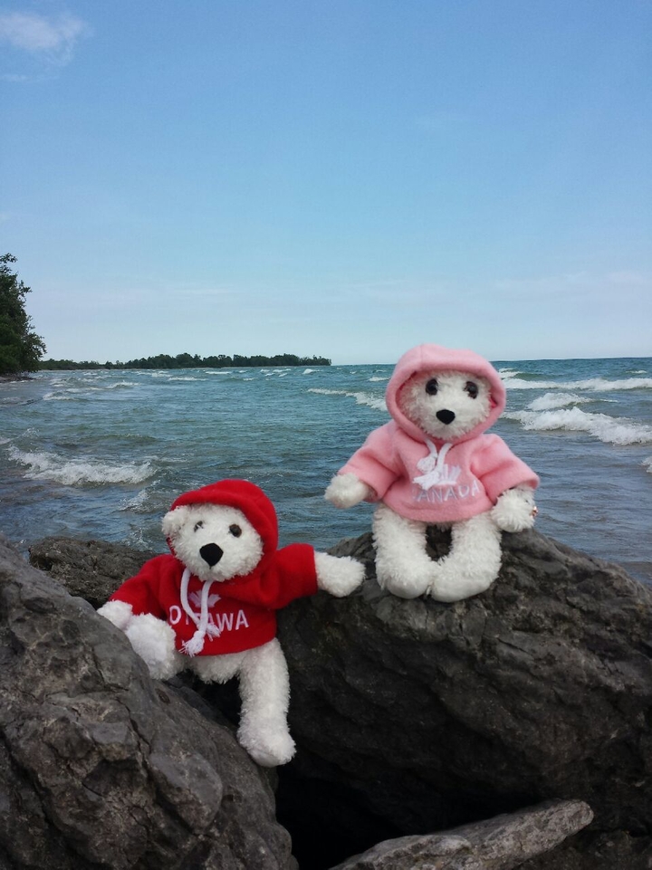 A windy day!