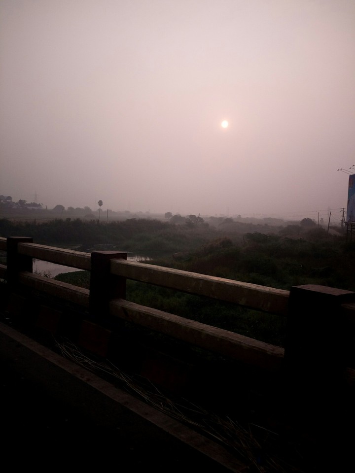 My early morning click.....