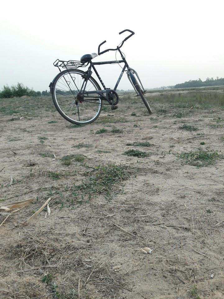bicycle