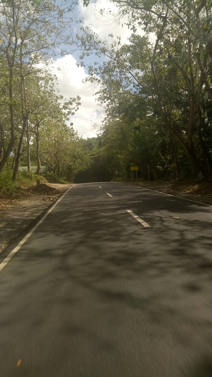 The road.