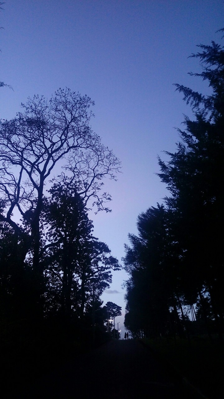 dusk at a countryside campus