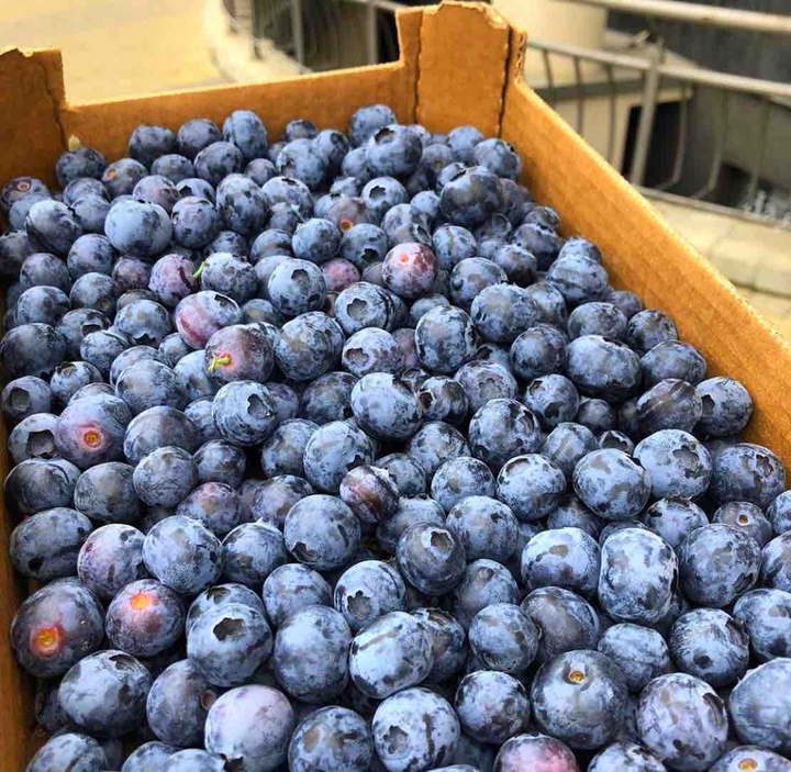 blueberry