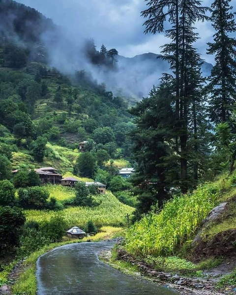pakistan