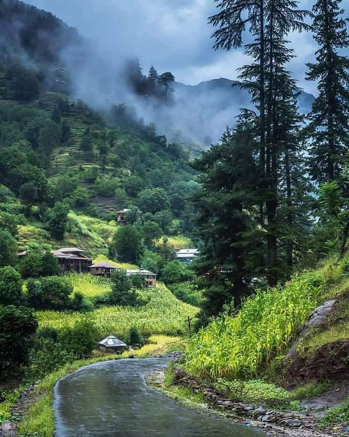 pakistan