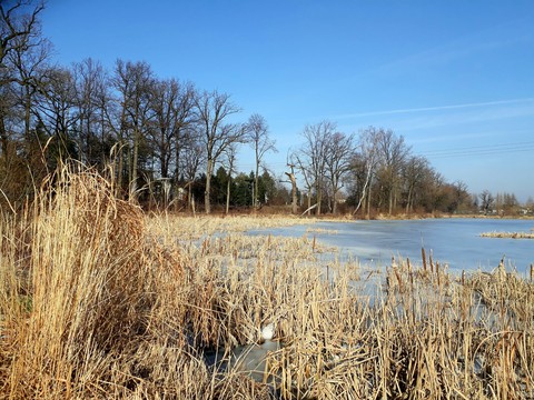 Spring is coming