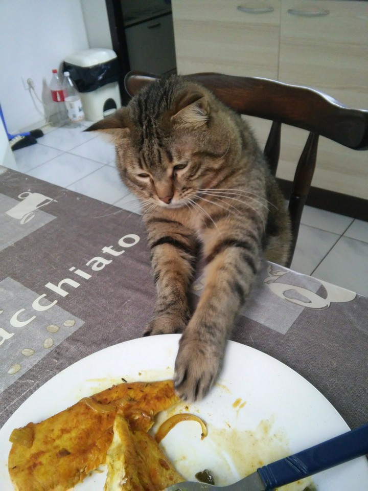 Stealing food