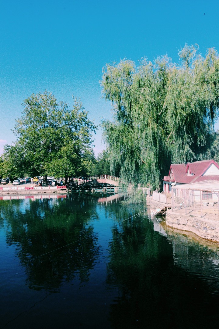 kuğulu göl
