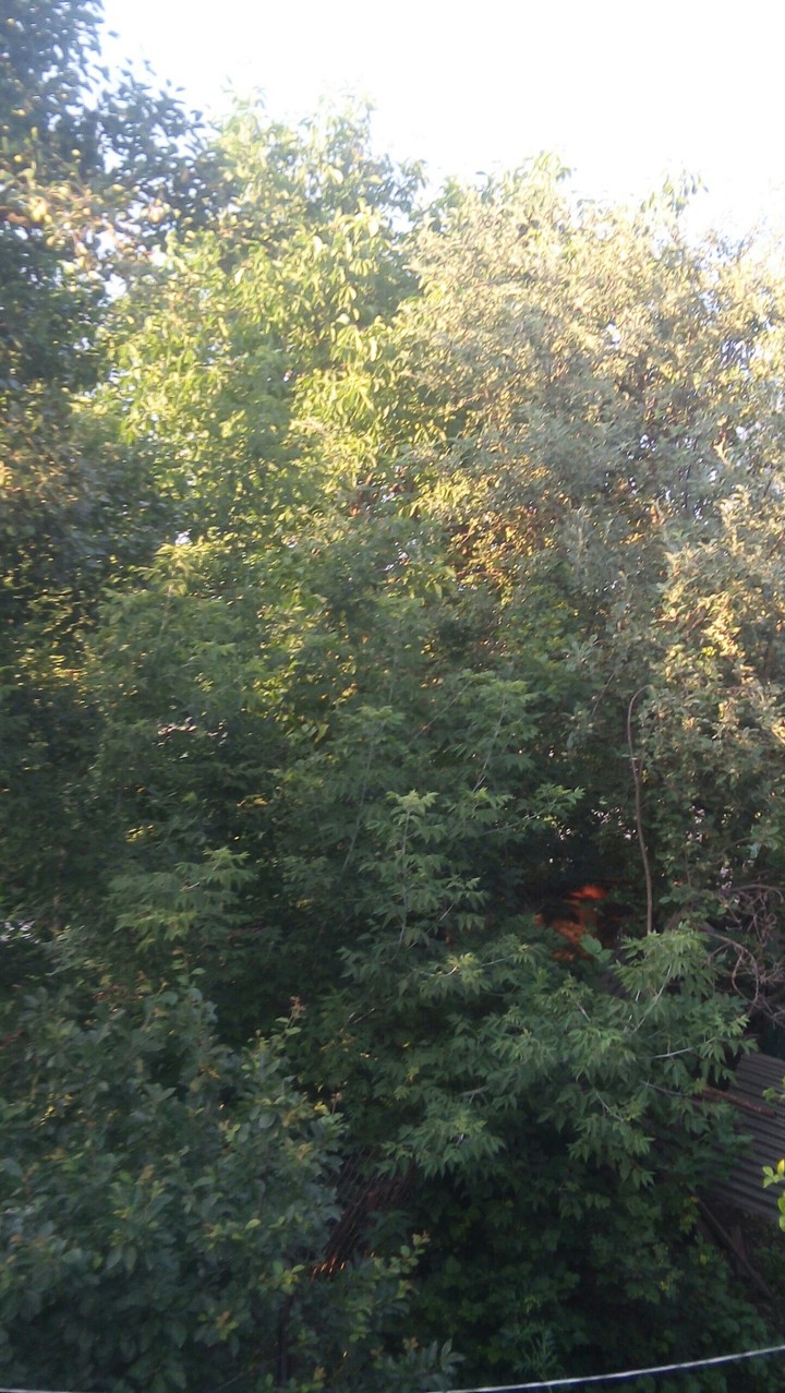 Літо