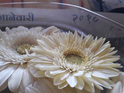 very sweet good morning friends